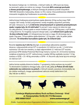 Pakiet 50 szt. ulotek Chroń ziemię dietą - na temat ekologii i diety wegańskiej