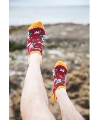 Skarpetki stopki w koala