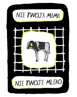 Pakiet 50 ulotek kampanii Białe Kłamstwa