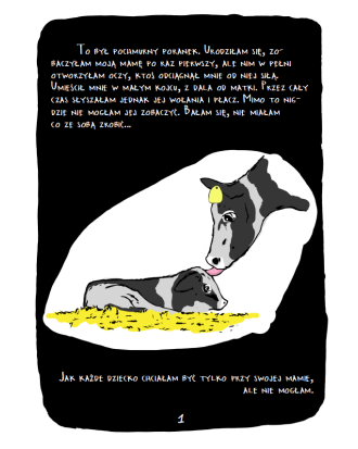 Pakiet 50 ulotek kampanii Białe Kłamstwa