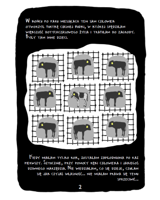 Pakiet 50 ulotek kampanii Białe Kłamstwa