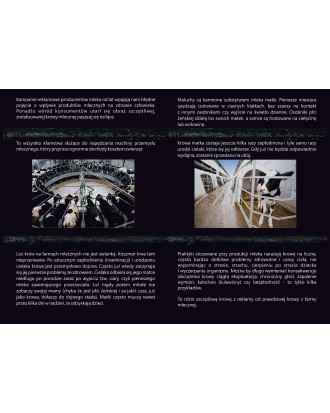 Pakiet 50 ulotek kampanii dot. krów