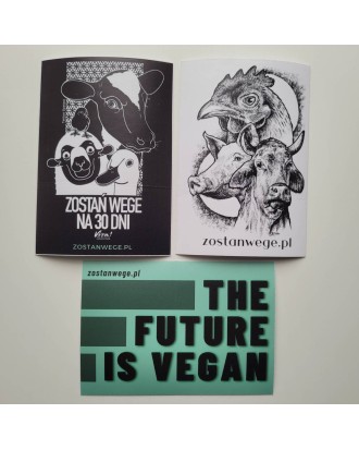 Pakiet naklejek kampanii ZOSTAŃ WEGE!
