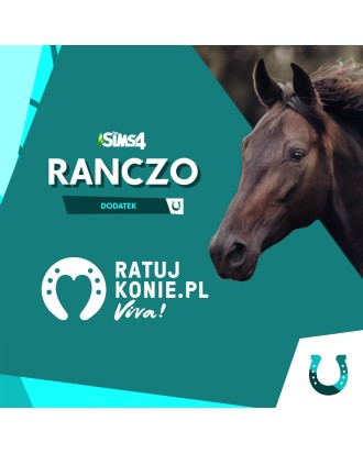 PIĘCIOPAK Skarpetki The Sims4 & Ratuj Konie 