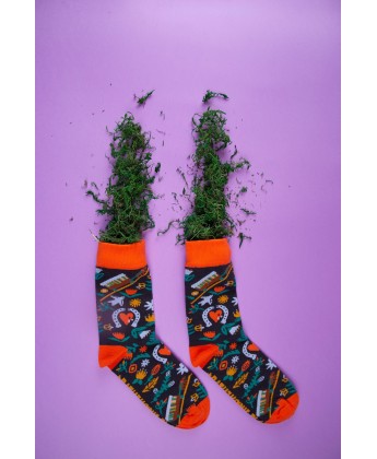 Czarne Skarpetki Konie z Morskiego Oka