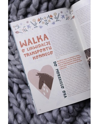 Skrócony raport „Konie z Morskiego Oka. Cierpienie, którego nie widać”