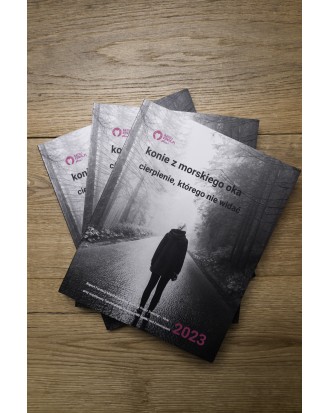 „Konie z Morskiego Oka. Cierpienie, którego nie widać”