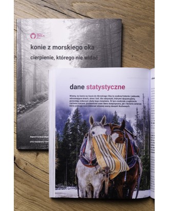 „Konie z Morskiego Oka. Cierpienie, którego nie widać”