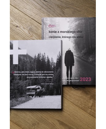 „Konie z Morskiego Oka. Cierpienie, którego nie widać”