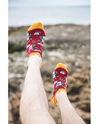 Skarpetki stopki w niedźwiedzie