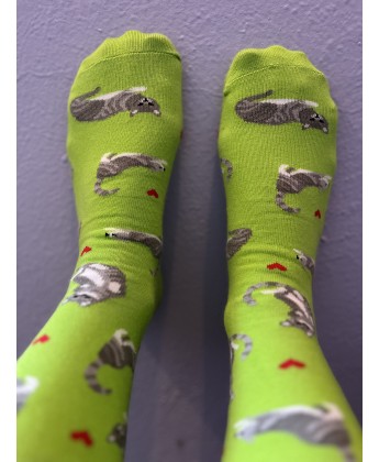 Skarpetki Viva! '24 Kotki Krzyśki