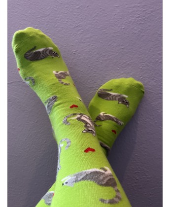 Skarpetki Viva! '24 Kotki Krzyśki