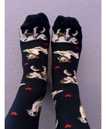 Skarpetki Viva! '24 Pieski Seniorki