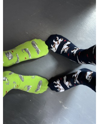 ZESTAW Skarpetek Viva! '24 Kotki Krzyśki + Pieski Seniorki