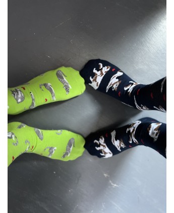 ZESTAW Skarpetek Viva! '24 Kotki Krzyśki + Pieski Seniorki