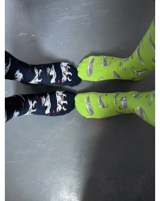 ZESTAW Skarpetek Viva! '24 Kotki Krzyśki + Pieski Seniorki