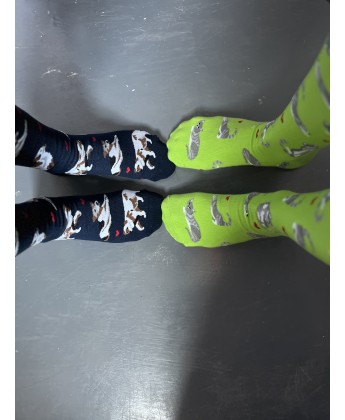 ZESTAW Skarpetek Viva! '24 Kotki Krzyśki + Pieski Seniorki