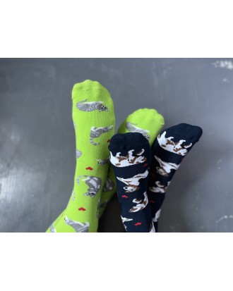 ZESTAW Skarpetek Viva! '24 Kotki Krzyśki + Pieski Seniorki