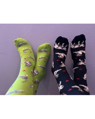 ZESTAW Skarpetek Viva! '24 Kotki Krzyśki + Pieski Seniorki