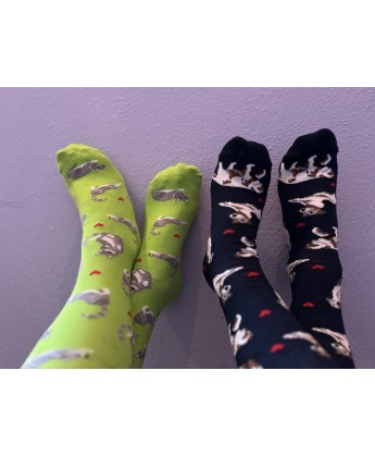 ZESTAW Skarpetek Viva! '24 Kotki Krzyśki + Pieski Seniorki