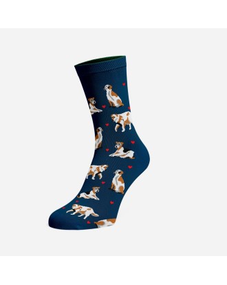 ZESTAW Skarpetek Viva! '24 Kotki Krzyśki + Pieski Seniorki