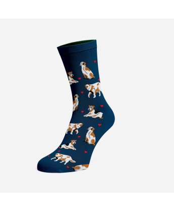 ZESTAW Skarpetek Viva! '24 Kotki Krzyśki + Pieski Seniorki