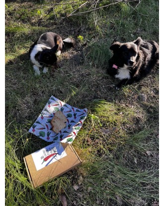 Wegańskie woskowijki warzywne - '18 Ogólnopolski Tydzień Wege