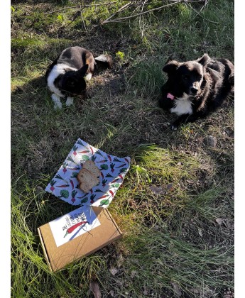 Wegańskie woskowijki OTW