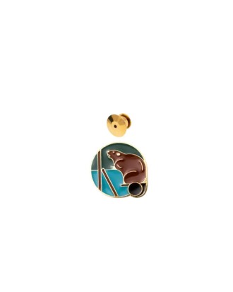 pin bóbr