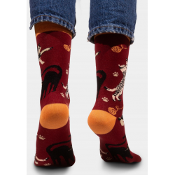 Skarpetki bordowe Koty