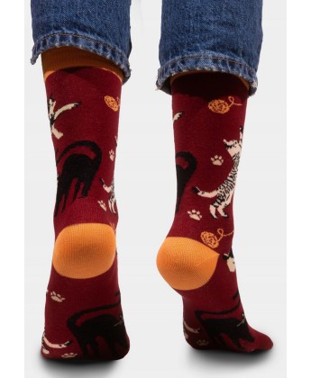Skarpetki bordowe Koty