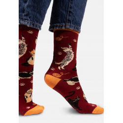 Skarpetki bordowe Koty