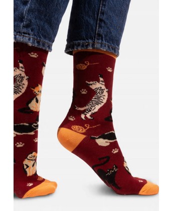 Skarpetki bordowe Koty