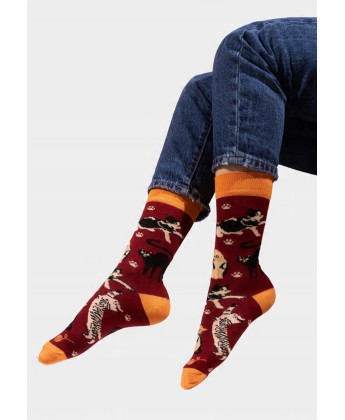 Skarpetki bordowe Koty