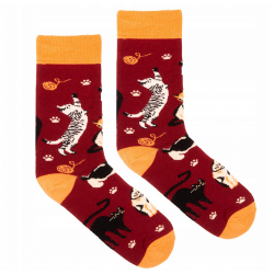 Skarpetki bordowe Koty