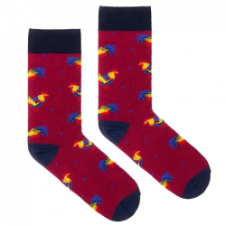 Skarpetki Kogut 