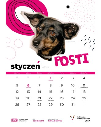 Kalendarz Schroniska w Korabiewicach 2026