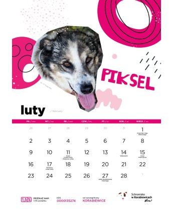 Kalendarz Schroniska w Korabiewicach 2026