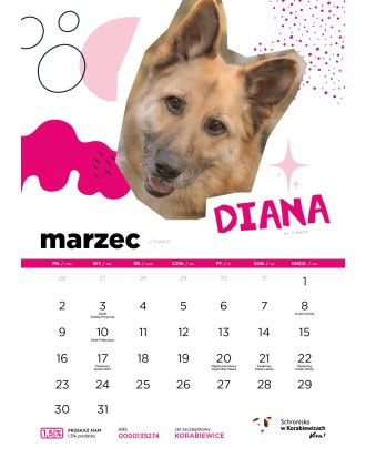 Kalendarz Schroniska w Korabiewicach 2026