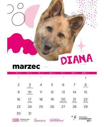 Kalendarz Schroniska w Korabiewicach 2026