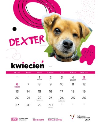 Kalendarz Schroniska w Korabiewicach 2026