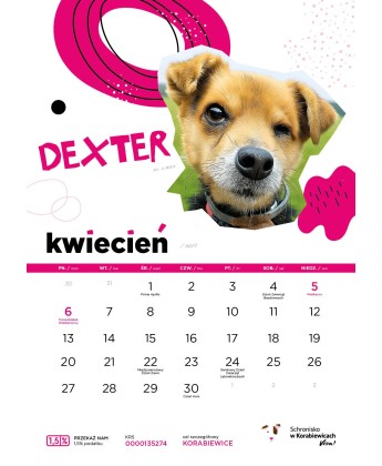 Kalendarz Schroniska w Korabiewicach 2026