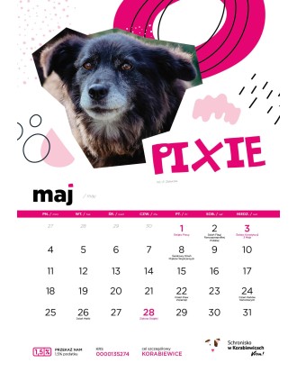 Kalendarz Schroniska w Korabiewicach 2026