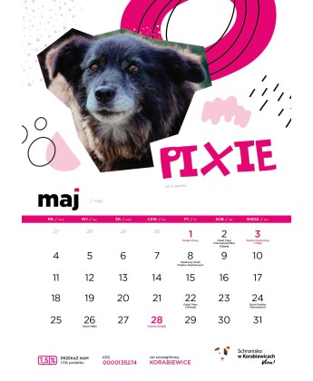 Kalendarz Schroniska w Korabiewicach 2026