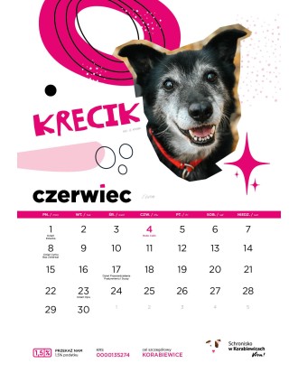 Kalendarz Schroniska w Korabiewicach 2026