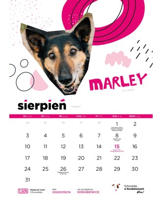 Kalendarz Schroniska w Korabiewicach 2026