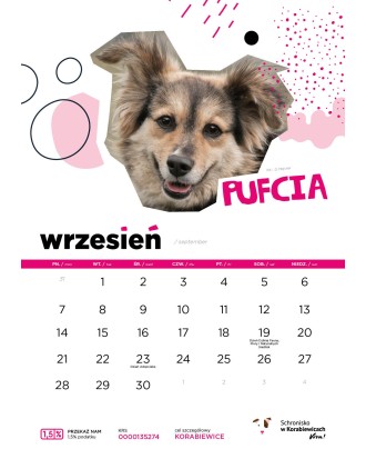 Kalendarz Schroniska w Korabiewicach 2026