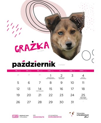 Kalendarz Schroniska w Korabiewicach 2026