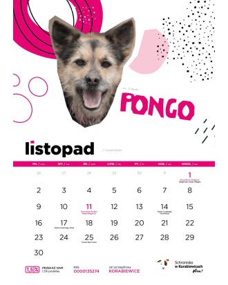 Kalendarz Schroniska w Korabiewicach 2026