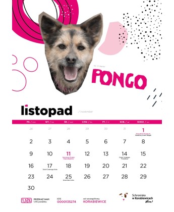 Kalendarz Schroniska w Korabiewicach 2026